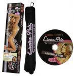 Carmen Electra tantsupost