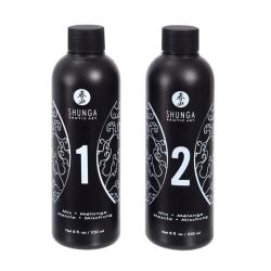 SHUNGA - MASSAGE GEL STRAWBERRY & CHAMPAGNE, intiimne massaažigeel, SUUR KOGUS!