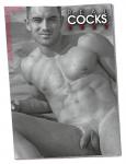 UUS!! Pin-Up Hard Core Real Cocks 2025, meestega Porno-kalender